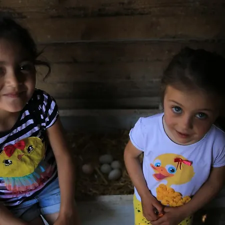 Ataol Tatil Ciftligi Semesteranläggning (resort)