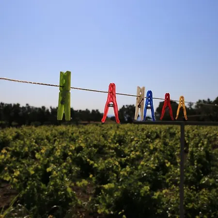 Semesteranläggning (resort) Ataol Tatil Ciftligi Bozcaada