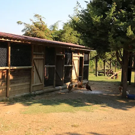 Semesteranläggning (resort) Ataol Tatil Ciftligi *